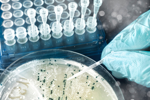 Pathogen detection gets ever faster 