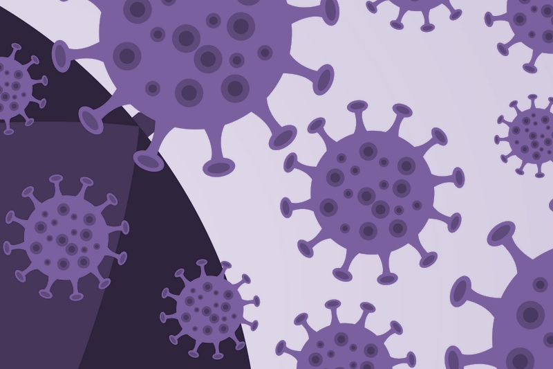 Plant viruses and viroids in cannabis production