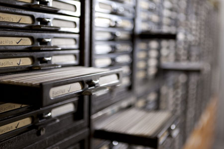 Preserving reference cultures for QC and compliance