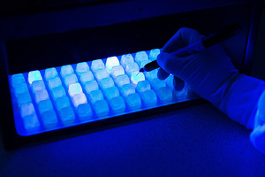 Pseudalert: A one-day test method for P. aeruginosa