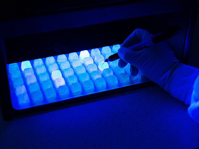 Pseudalert: A one-day test method for P. aeruginosa