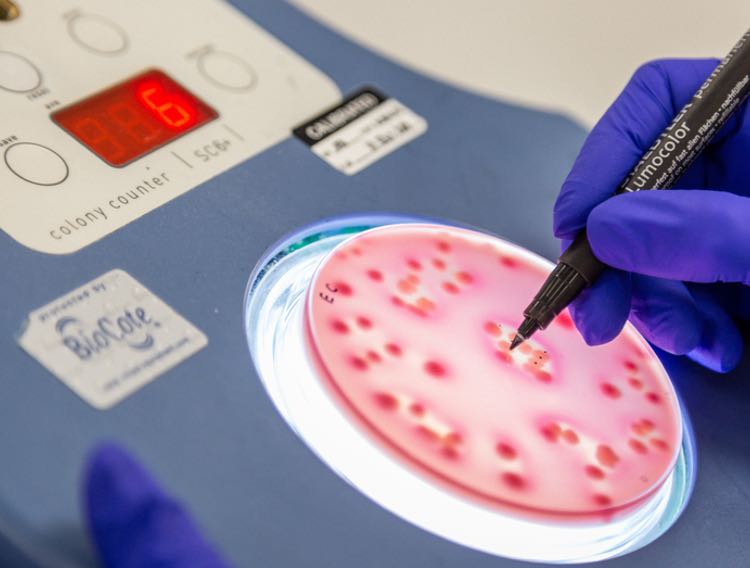 Putting disinfectant to the test: Designing a field trial