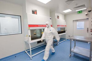 Regeneration at a Dublin stem cell facility