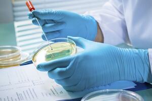 Risks of Environmental Monitoring: Microbes aren’t your only threat