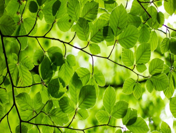 Stancold announces carbon neutral status