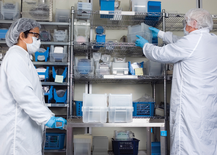 Sterility assurance in seconds