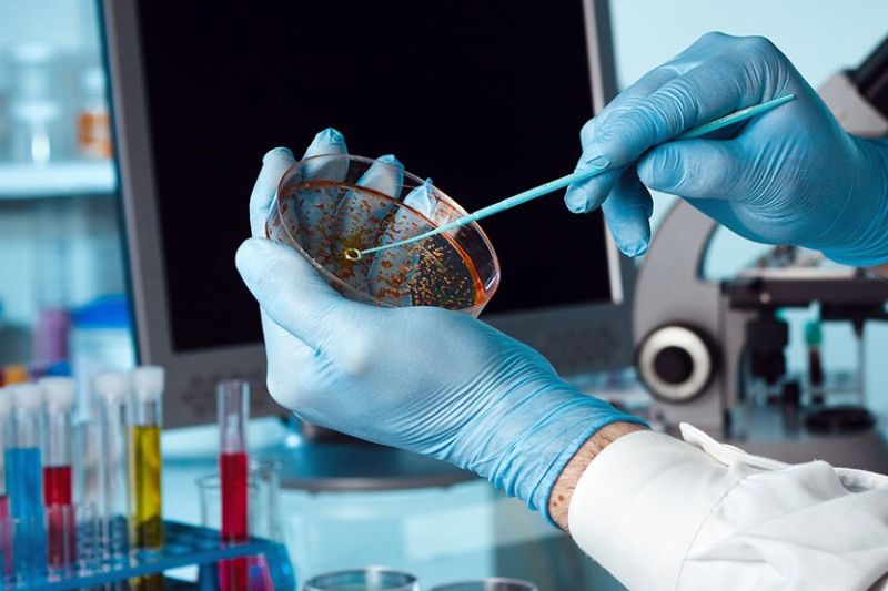 Thermo Fisher Scientific to sell its microbiology portfolio for $1.1bn