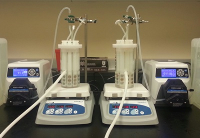 Two-step approach for cleaning and disinfection of Bacillus cereus biofilm 