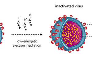 Using electrons to inactivate viruses in vaccines