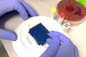 USP < 797 > Viable Air and Surface Sample Reports: 3 common errors
