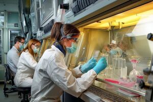 Vanguard Healthcare Solutions enters life sciences sector with Enbloc partnership