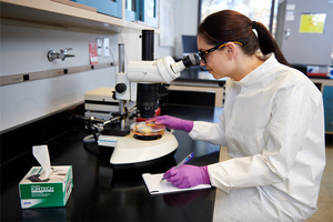 What are the top three considerations for thin mil glove selection?