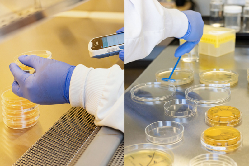 What is environmental monitoring and why is it important?