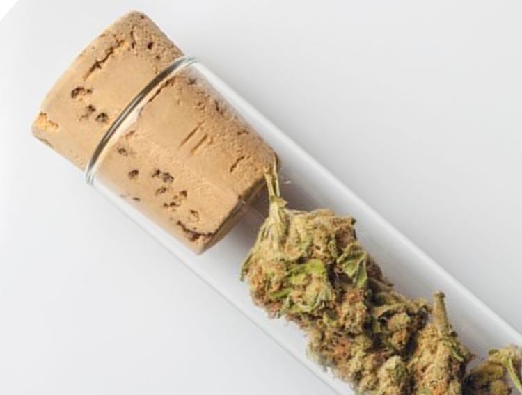 WHP completes new medical cannabis cleanroom and production facilities 