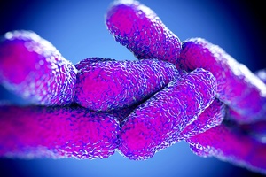WLN compares the IDEXX Legiolert test in detection of Legionella